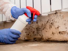 Best Crawl Space Mold Remediation in Heber, CA